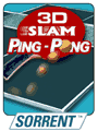 3D Slam Ping Pong